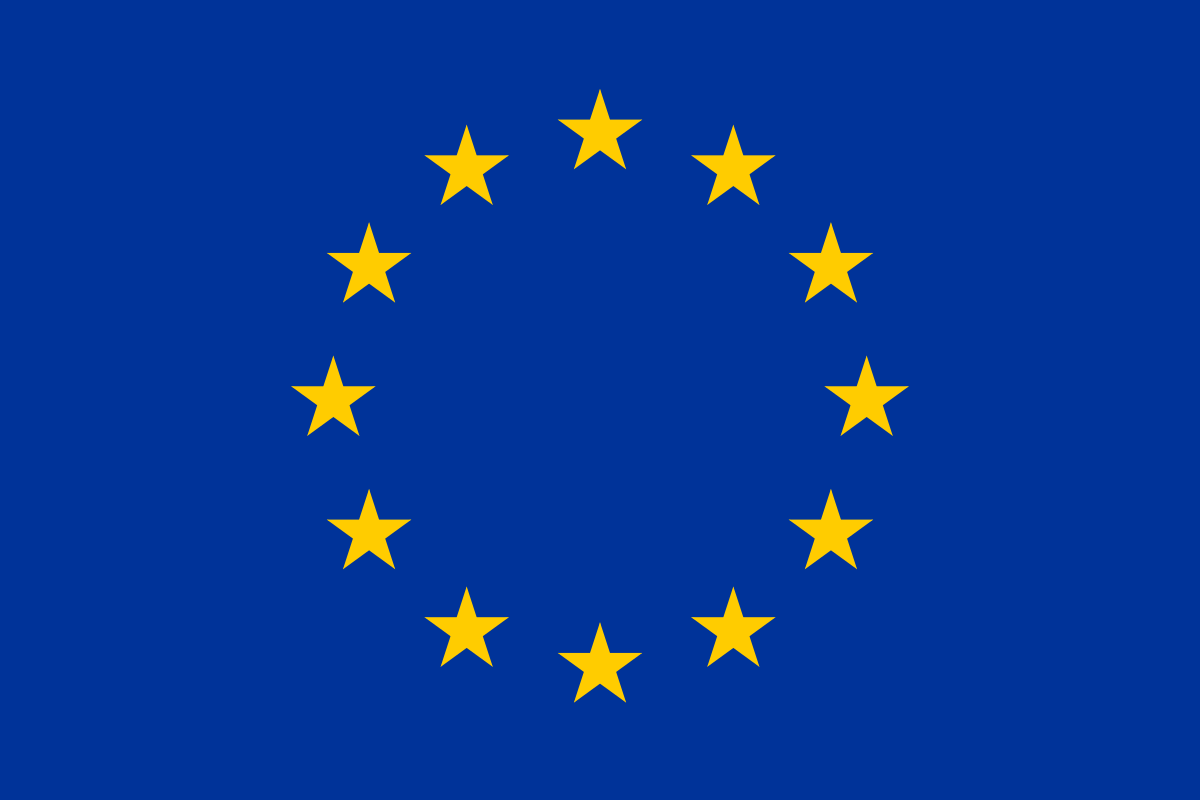Co founded by the European Union